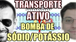 Transporte Ativo Bomba de Sódio Na e Potássio K  Biologia Celular  VideoAula 107 [upl. by Niattirb]