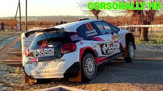 22° Rally Prealpi Master Show 2021 Many Mistakes Crash and Show [upl. by Wehtam]