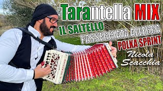 Tarantella MIX NICOLA SCACCHIA campione del mondo di organetto [upl. by Sprague]