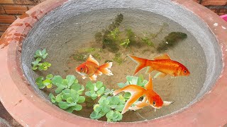 How To Setup An Aquarium In Cement Pot With Aquatic Plants Cement Fish Tank Making in 2 Minutes [upl. by Ainot991]