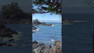 Uclulet BC Waves [upl. by Ateikan]