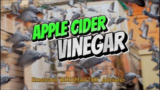 Why Fancier Use APPLE CIDER VINEGAR [upl. by Ahsaeit]