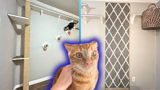 DIY Cat Carpet Wall Swinging Bridge amp Eight Foot Scratch Post [upl. by Ffoeg598]