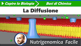 Chimica  Trasformazioni la Diffusione [upl. by Nortna]