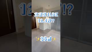 文京区・新大塚 1LDKで総家賃が132万円のお部屋！？▶︎▶︎▶︎オレンジルーム株式会社 [upl. by Eceer]