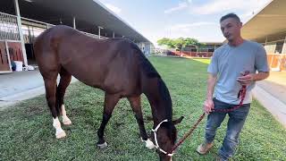 Jarred Rob Heathcote’s foreman with Prince of Boom  Stradbroke Eve  2024 [upl. by Libove828]