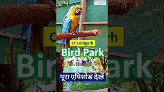 CHANDIGARH BIRD PARK – A natures beauty [upl. by Nollek]