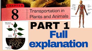 CHAPTER 8 TRANSPORTATION IN PLANTS ☘️ AND ANIMALS 🐍  CLASS 07 DAV SCIENCE  PART 1 FULL EXPLANATION [upl. by Alaine]