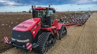 Case Quadtrac  Gregoire Besson 9 Furrow Plow [upl. by Nerrak489]