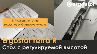 Обзор стола с регулировкой высоты Ergostol Terra R  Покупатели о Ergostol [upl. by Latsyrcal]