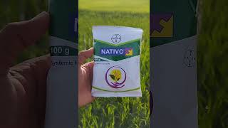 bayer nativo [upl. by Kristine]