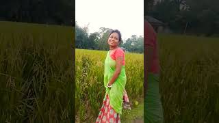 Dhan khete kemon lagcesong viralshortvideo [upl. by Ynohtnad767]