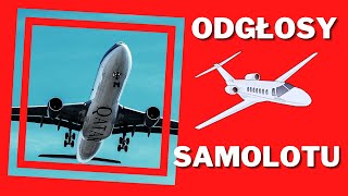 Odgłosy lecącego samolotu szum podniebnej podróży wideo z samolotem dla dzieci odgłosy maszyn [upl. by Nnayd]