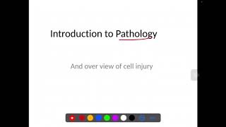 🔥Pathology Course  Lecture 1 Introduction To Pathology [upl. by Onirotciv]