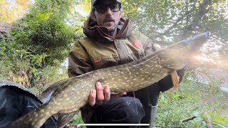 Pike fishing the rivers Stour and Waveney [upl. by Ecadnac758]