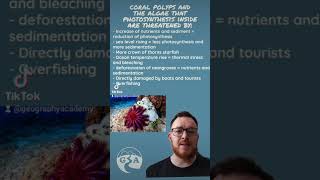 Threats to coral reefs alevel igcse geography gcse environmentalscience [upl. by Freudberg]