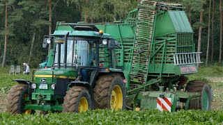 John Deere 2650 Harvesting Sugar Beets With STOLL V202 Harvester  Zuckerrübenernte 2024 [upl. by Lubbock653]