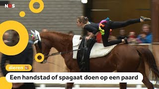 Dit is voltige turnen op de rug van een paard [upl. by Adliwa]