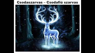 Csodaszarvas a magyarok totemállata [upl. by Namad921]