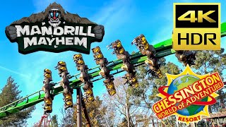 Mandrill Mayhem 4K60HDR at Chessington World of Adventures Winters Tail 25112023 [upl. by Ennaegroeg201]