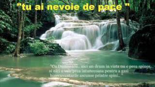 OVIDIU LITEANU tu ai nevoie de pace Romanian Christian Music [upl. by Elman571]