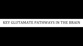 STAHLS  CH 4  PART 18  KEY GLUTAMATE PATHWAYS IN THE BRAIN psychiatrypharmacology [upl. by Cyma]