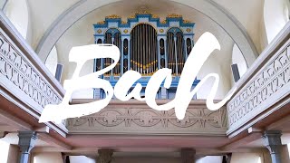 Bach TrioSonata 1 in Eflat major I Movement BWV 525 [upl. by Ruggiero]