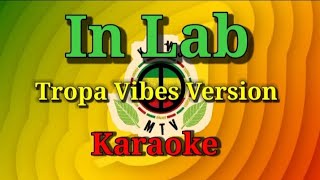 Tropa Vibes Version  In Lab  Karaoke  Instrumental [upl. by Yerdna909]