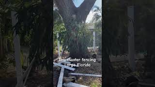 fencingcontractor floridafencing diy shortvideo shorts [upl. by Menedez]