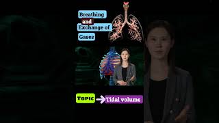 part 2 tidal volume breathing and exchange of gases neet Cbse [upl. by Ocimad]