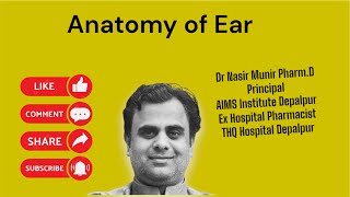 Anatomy of Ear Hearing [upl. by Cirdnek389]