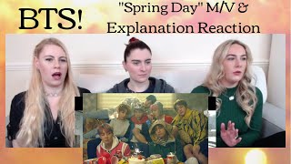 BTS quotSpring Dayquot MV amp Explanation Reaction [upl. by Guillemette]