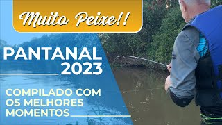 Pescaria no Pantanal 2023  Melhores momentos [upl. by Emarie]