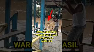 detikdetik buaya besar menampakkan diri [upl. by Kirby131]