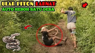 Prank Ular Piton Paling Laknat  Super Lucu Bikin Heboh  Funny Snake Prank [upl. by Zednanreh347]