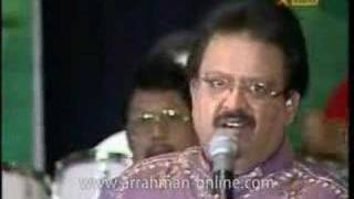 SPB Reveal ARRahmans Genius in Thoda Thoda Song [upl. by Naryt]