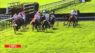 Prix Rohan  Auteuil  020314  Incident deuxième haie [upl. by Nylleoj]