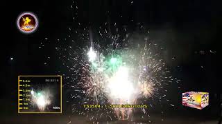 TSky Gorgeous  500 Gram Fountain TSky Fireworks [upl. by Nwhas]