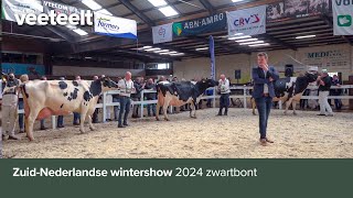 ZuidNederlandse wintershow 2024 zwartbont [upl. by Marchese]