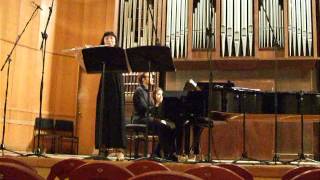 Devienne Flute Sonata in D major  2nd movement [upl. by Reyem]