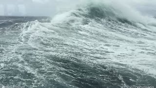 Extreme landing on CAPE HORN by Zodiac boat [upl. by Philippine82]