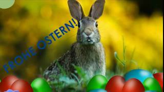 Der Osterhase erklärt wann Ostern ist 🐰 und wünscht quotFROHE OSTERNquot  Ostergrüße [upl. by Eugenio]