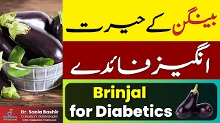 Brinjal for Diabetics  Health Benefits of Egg plant [upl. by Obadiah]