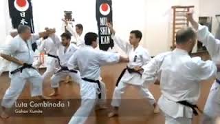 Kihon Kata e Kumite  O Tripe do Karate [upl. by Ayikin651]