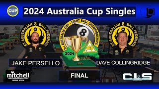 Jake Persello v Dave Collingridge  Final  Singles  2024 Australia Cup [upl. by Naujad]