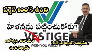 Vestige business Plan in telugu 2024 రాసిపెట్టుకోండ్రి లైఫ్ లో ఎదగాలంటే ఆప్షన్ లేదు వెస్టీజ్ బెస్ట్ [upl. by Aitnis616]