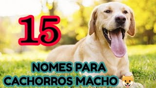 NOMES PARA CACHORROS MACHO 1  Lindos amp Fofos [upl. by Fidellia]