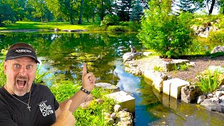 Amazing FARM POND Renovation [upl. by Nnairda705]