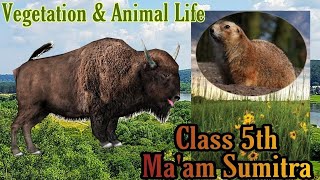 Class 5 th  Social Studies Prairies plant amp Animal life [upl. by Koran]