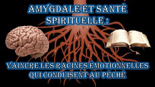 Amygdale et santé spirituelle [upl. by Nodyl60]